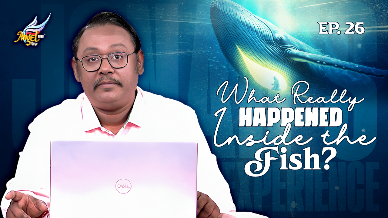 What REALLY Happened Inside the Fish?